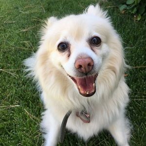 Meet your Posher, Elizabeth